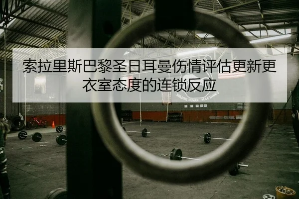 suo-la-li-si-ba-li-sheng-ri-er-man-shang-qing-ping-gu-geng-xin-geng-yi-shi-tai-du-de-lian-suo-fan-ying-2-646.jpg
